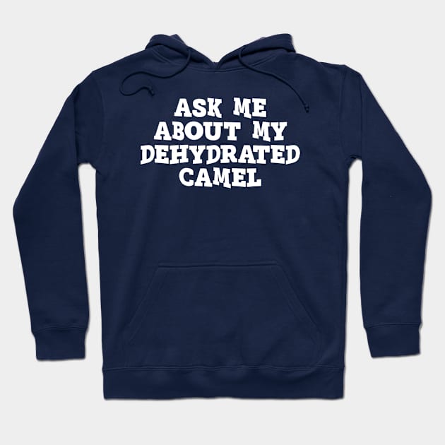 Ask Me About My Dehydrated Camel - Sarcasm Hoodie by Kcaand